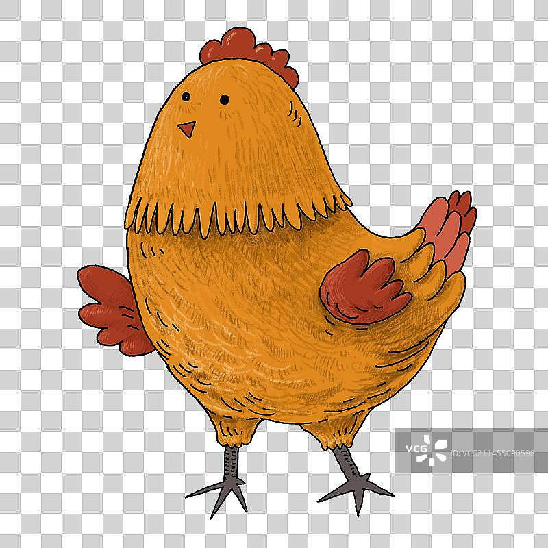 免抠元素：卡通手绘鸡图片素材