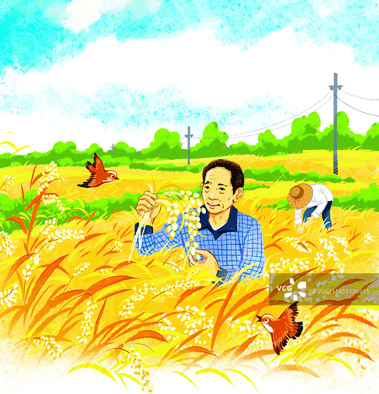 粮食图片素材