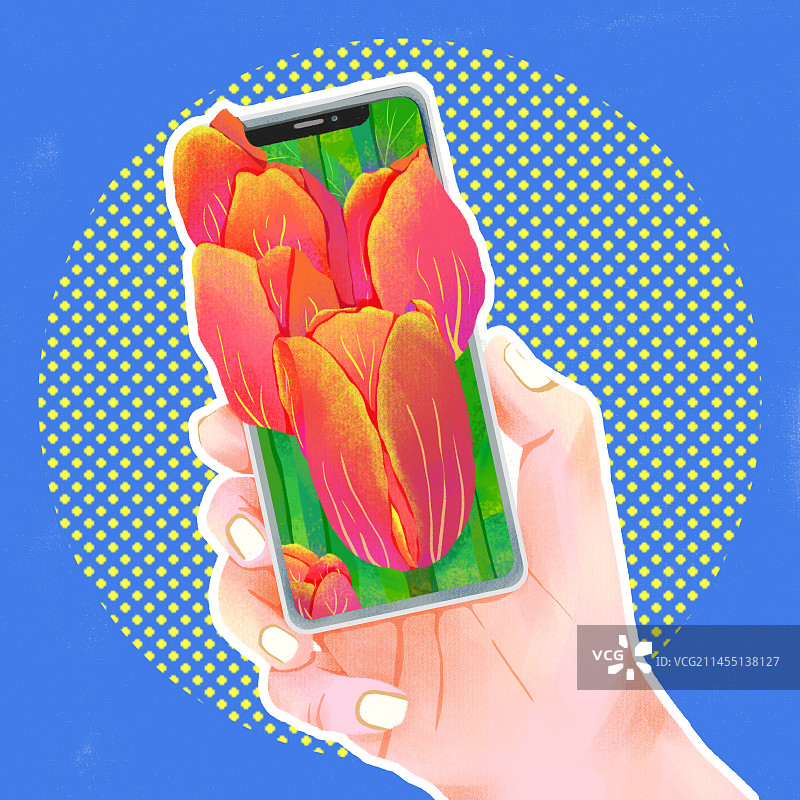 手机里的花图片素材