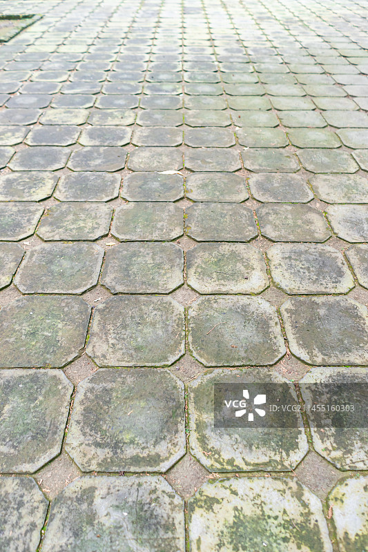 中国露台花园私家花园景观设计拍摄主题，公园里的瓷砖砖地步行道路，户外白昼无人图像摄影图片素材