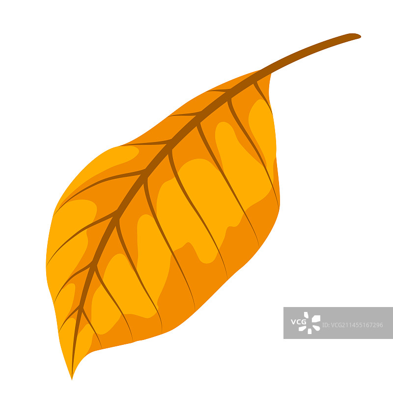 秋叶精美装饰图片素材