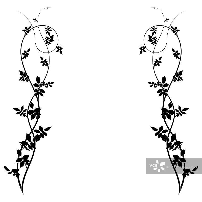 装饰性山楂植物边框图片素材