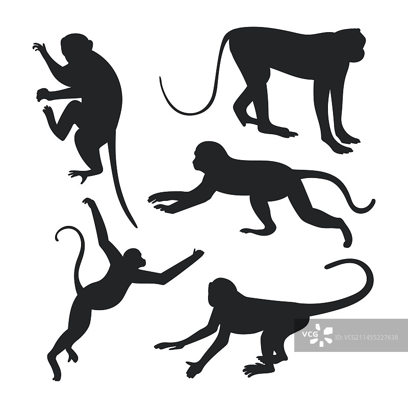 白色背景上手绘猴子剪影图片素材