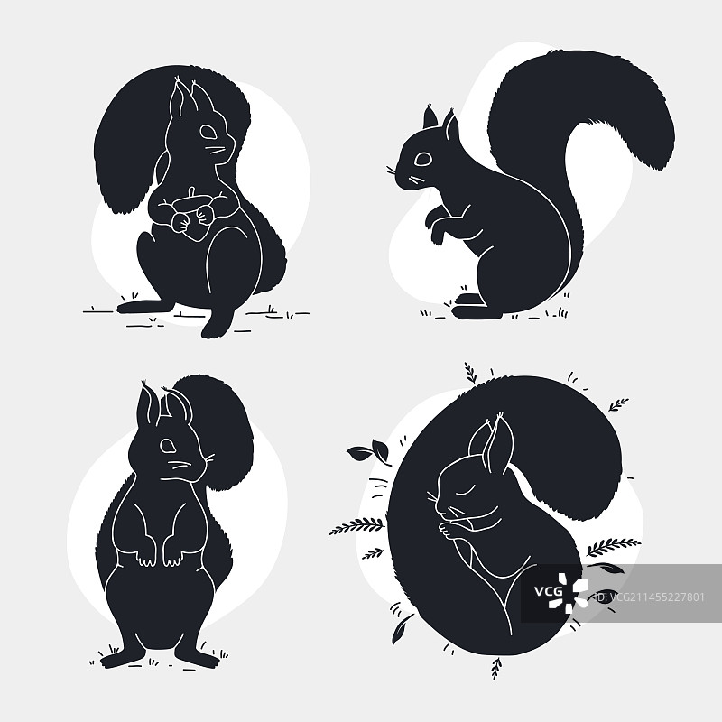 手绘松鼠轮廓，隔离在白色上图片素材