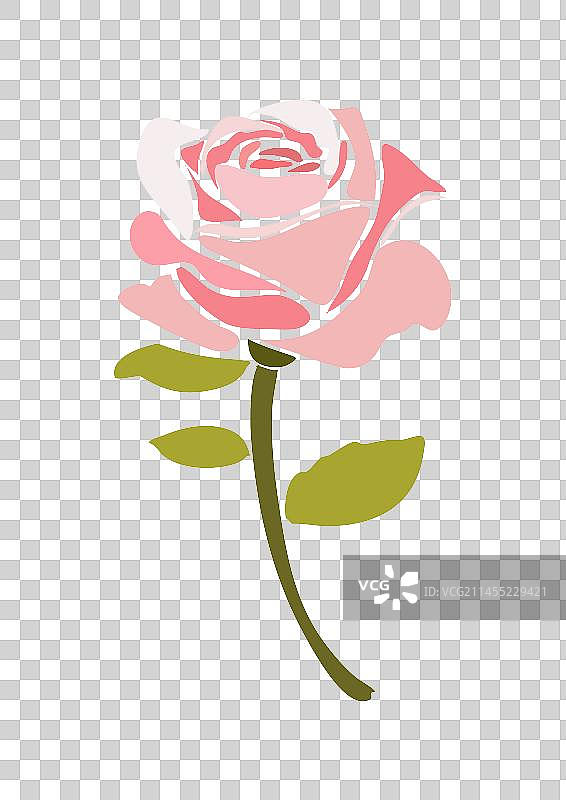 一只粉色的矢量玫瑰花图片素材