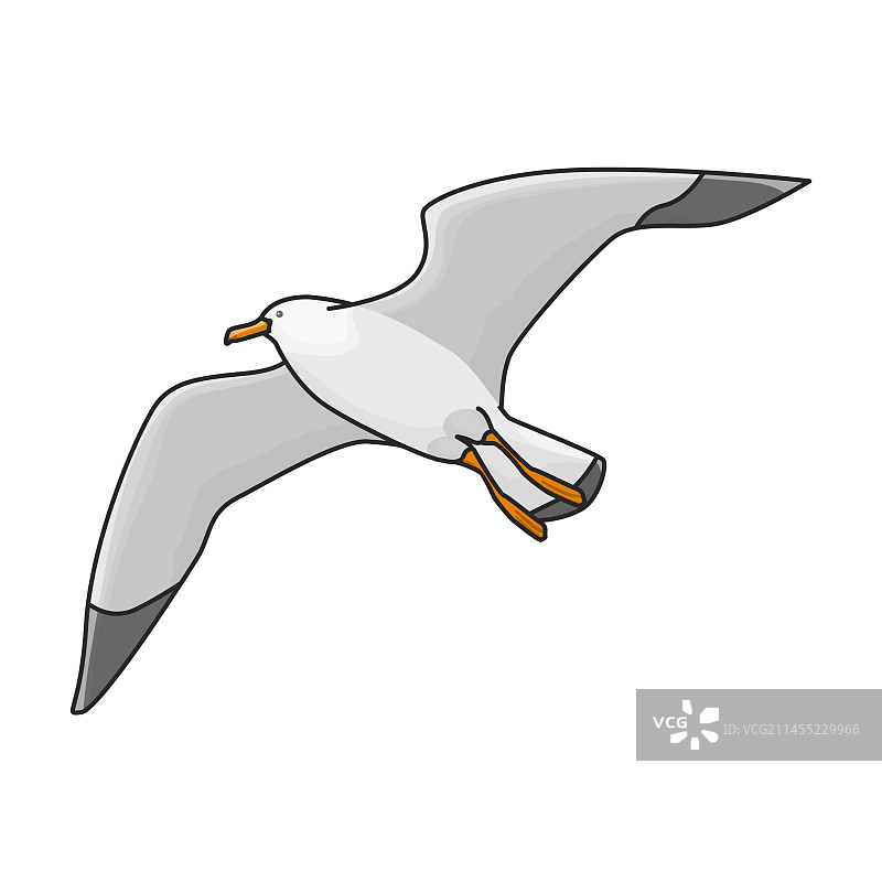 孤立的海鸥图标图片素材