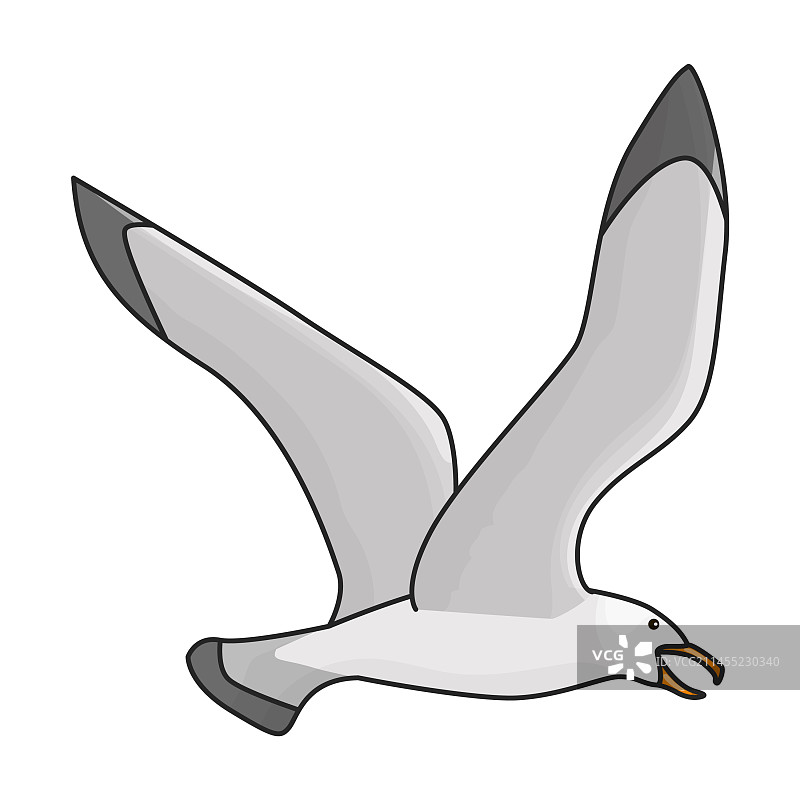 孤立的海鸥图标图片素材