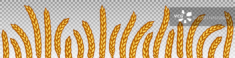 小麦或大麦穗水平无缝边框图片素材