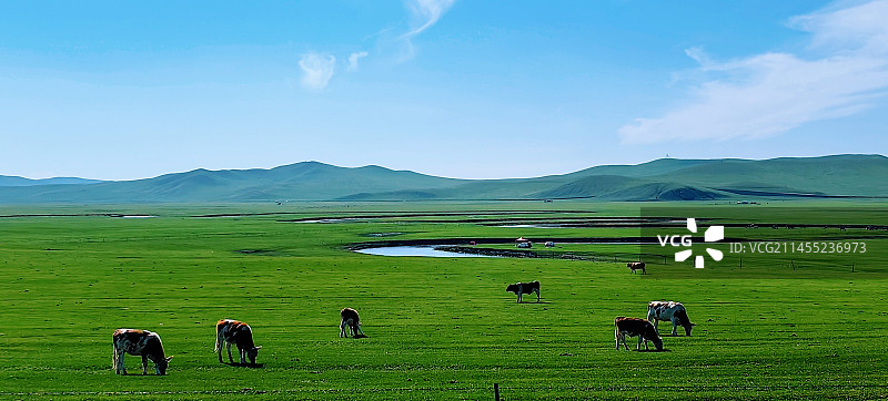 莫日格勒河牧场图片素材