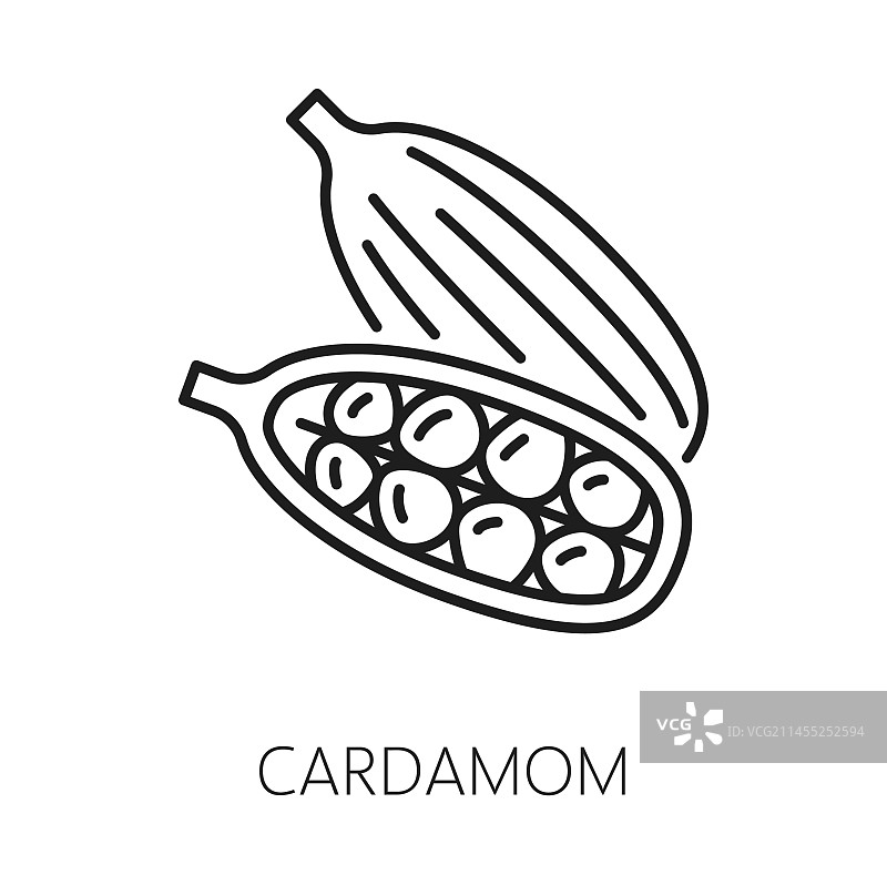 豆蔻荚和种子分离轮廓图标图片素材