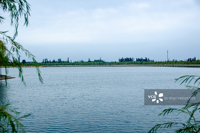 新疆阿克苏市沙雅渭干河景区 雁鸣湖图片素材
