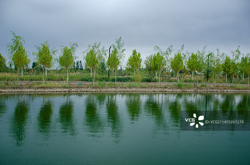 新疆阿克苏市沙雅渭干河景区 雁鸣湖图片素材