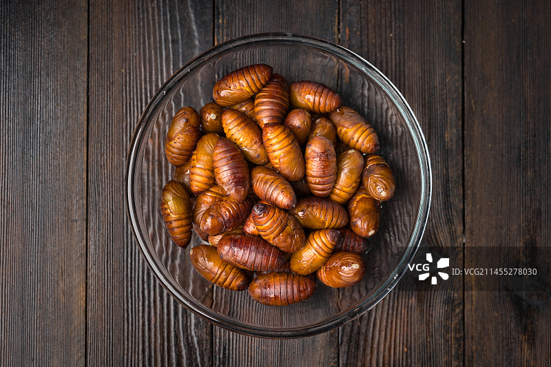 暗色背景下的新鲜茧蛹图片素材