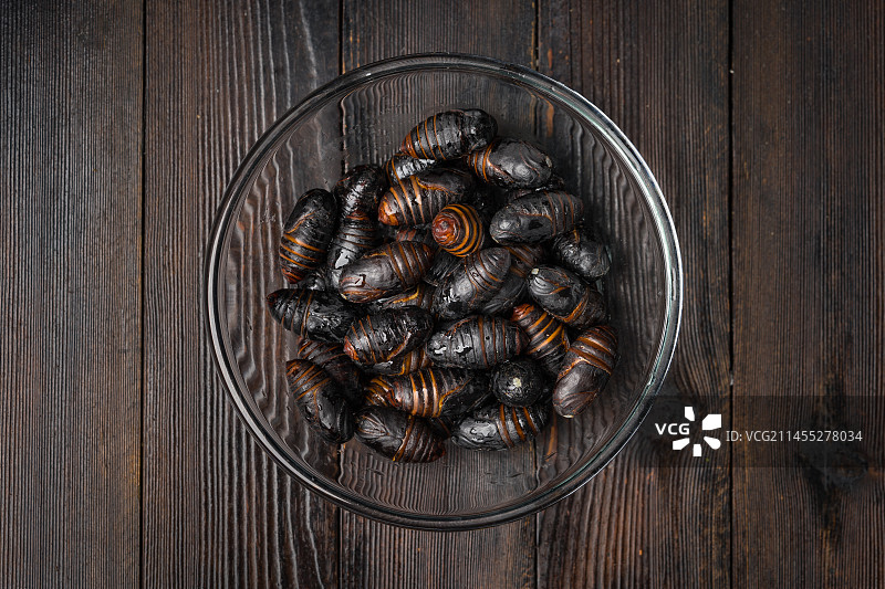 暗色背景下的新鲜茧蛹图片素材