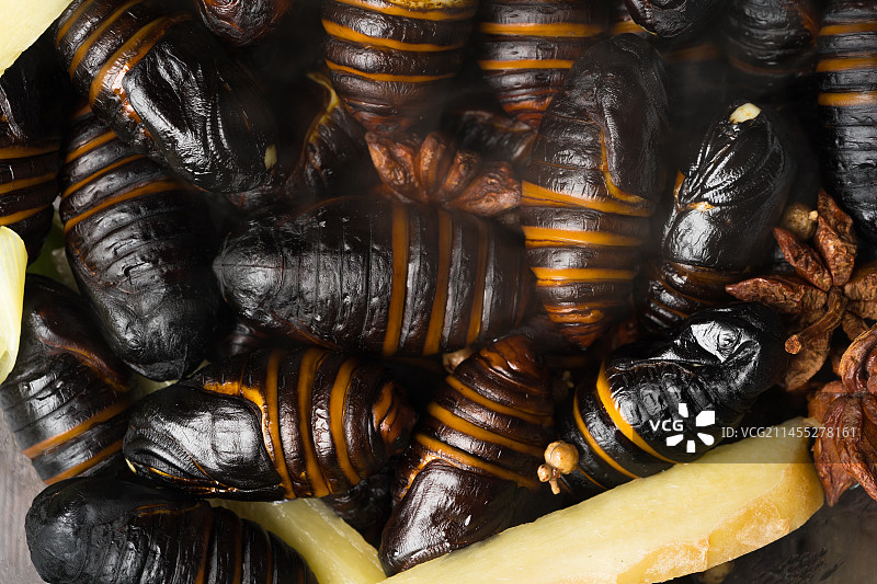 暗色背景下的新鲜水煮茧蛹图片素材