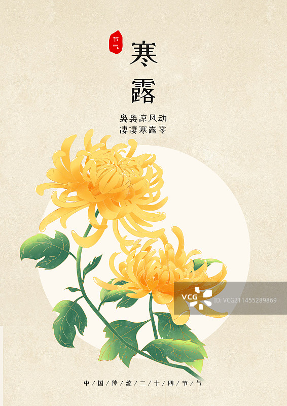 国风节气寒露菊花花卉植物插画海报图片素材