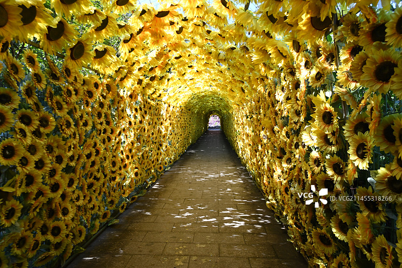 河北省唐山市迁安市山叶口玻璃栈道图片素材