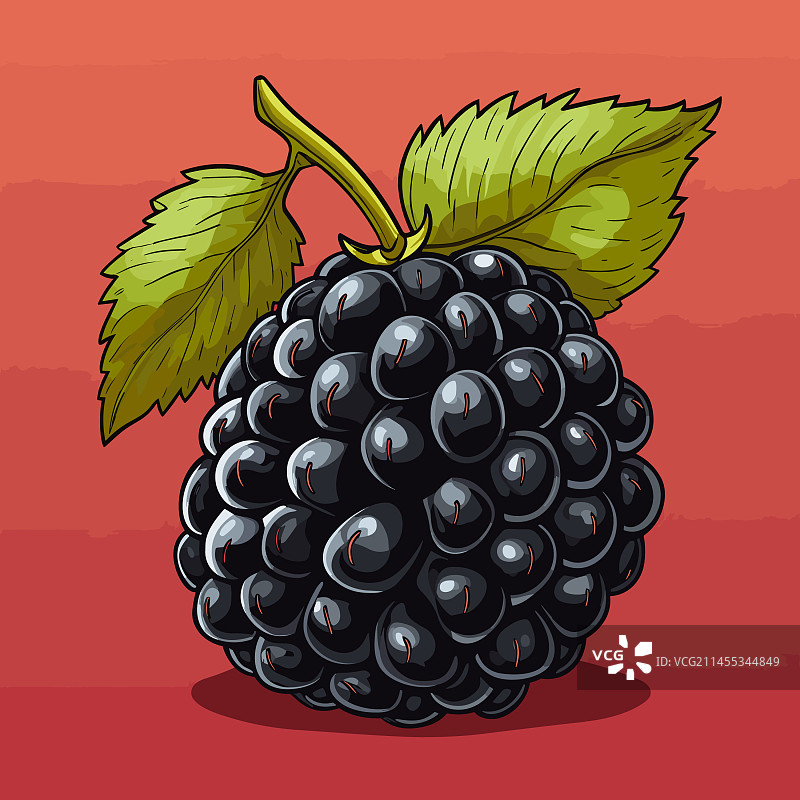 手绘黑莓涂鸦图片素材