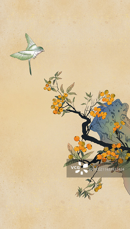 中国风水墨画假山旁边的枇杷树结满枇杷果图片素材