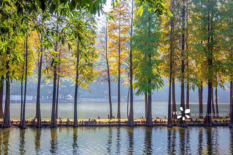 中国广东佛山西樵山天湖公园图片素材