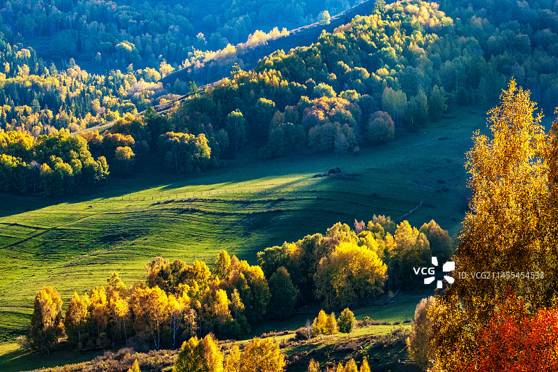 新疆北疆喀纳斯风光图片素材