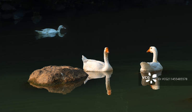 安溪长潭公园图片素材