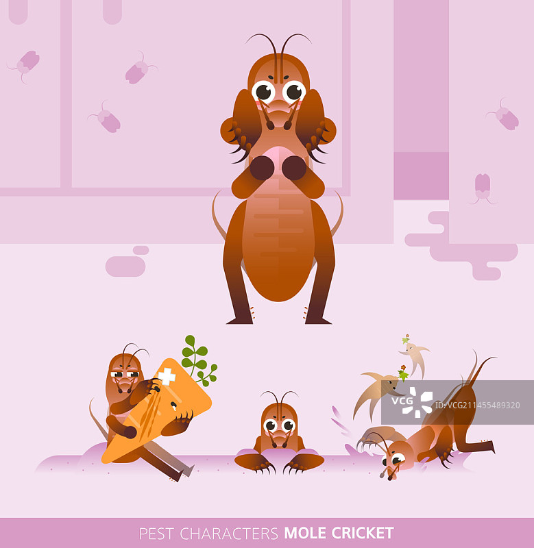 蝼蛄矢量插画图片素材