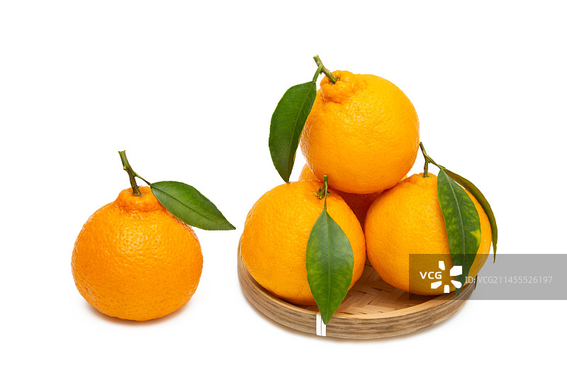 丑橘 丑桔 不知火 耙耙柑 丑八怪 云南丑橘 春见  新鲜粑粑柑 四川不知火丑桔 丑橘子 丑桔子图片素材