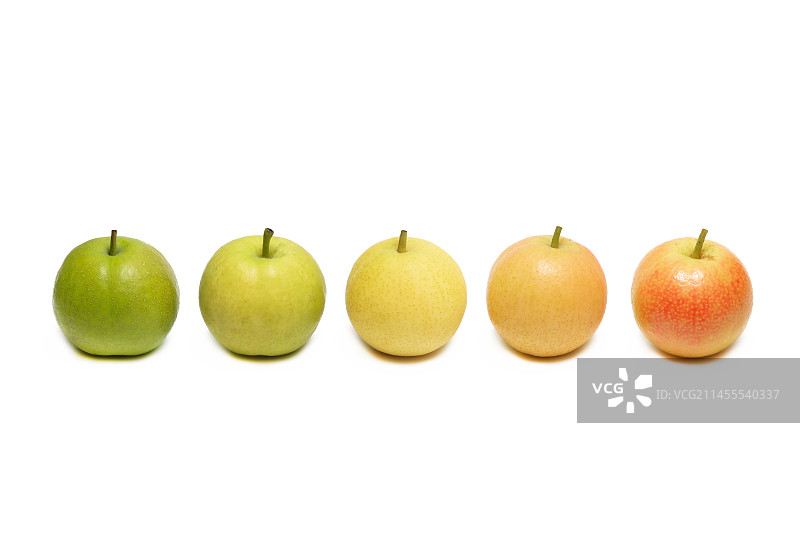 南果梨 南国梨 东北特产 成熟程度  青涩到成熟  梨子 酒香梨 成熟过程 红脸元帅图片素材