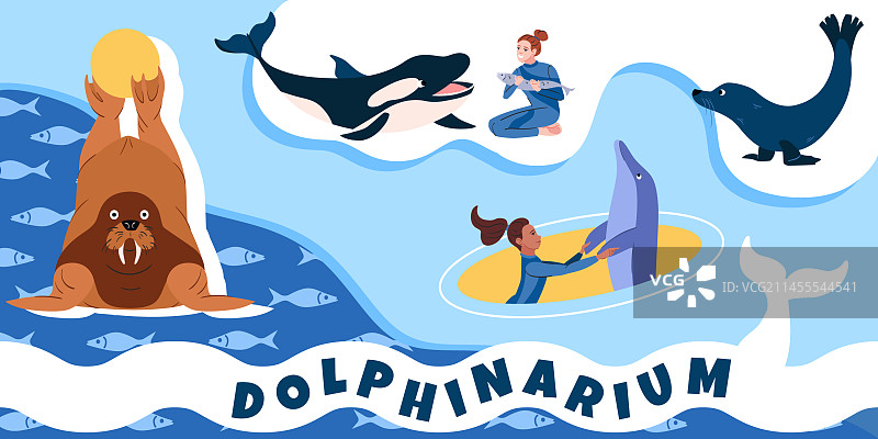 海豚馆扁平拼贴图片素材