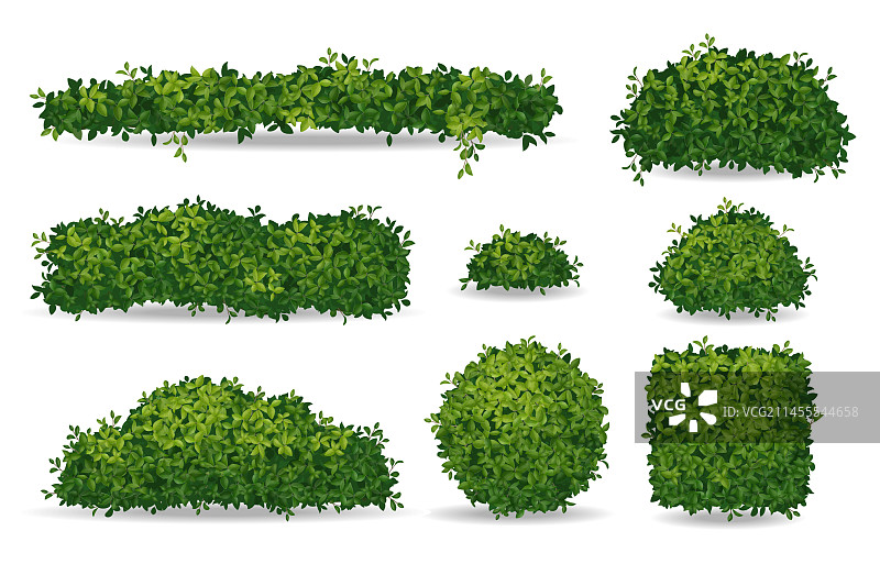 逼真的灌木丛素材图片素材