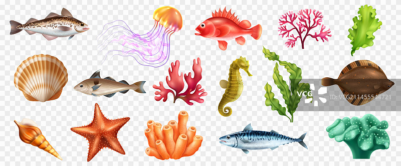 海洋生物透明素材合集图片素材