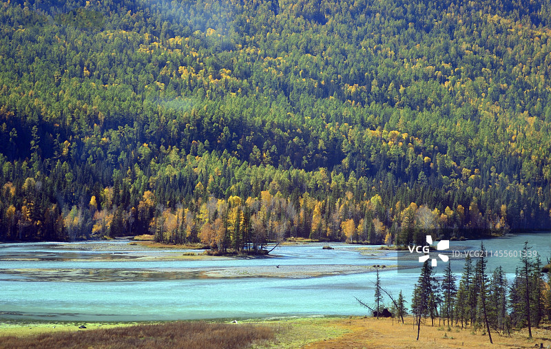 大美新疆.喀纳斯图片素材