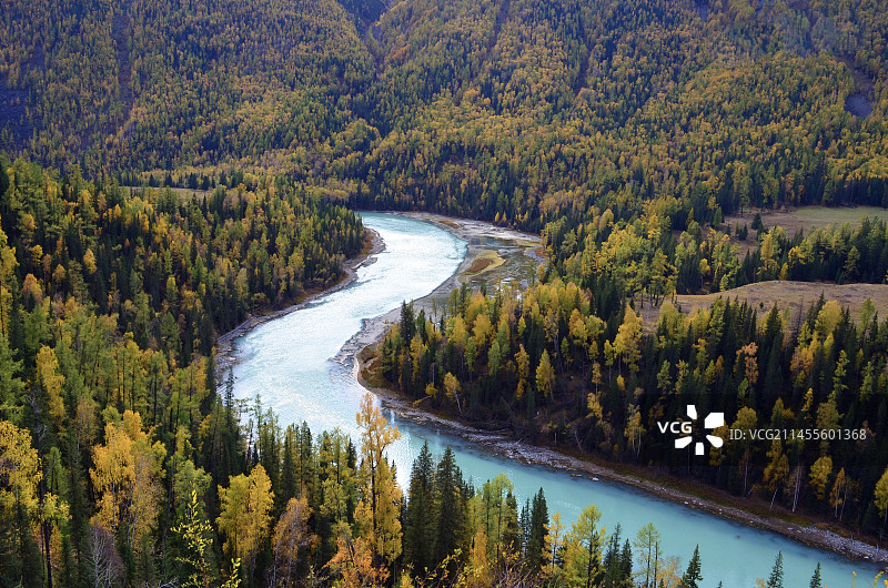 大美新疆.喀纳斯图片素材