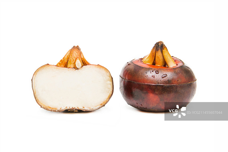 荸荠 马蹄 水栗 荸荠果 新鲜荸荠 马蹄鲜果 荸荠鲜果 广西桂林马蹄  新鲜马蹄  地梨 地栗图片素材