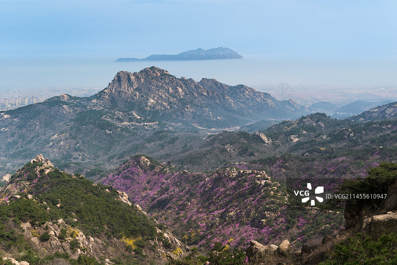远观大珠山观花云径山坡处的杜鹃花图片素材