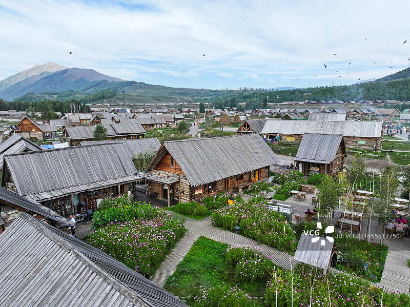 新疆喀纳斯禾木村庄老鹰风光动物航拍图片素材