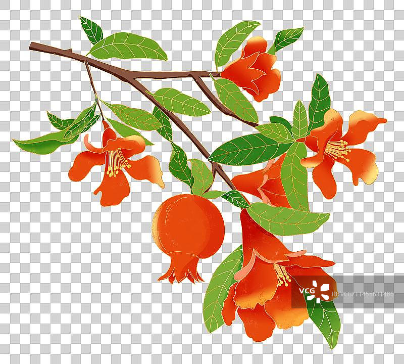 国风立夏节气石榴花插画图片素材