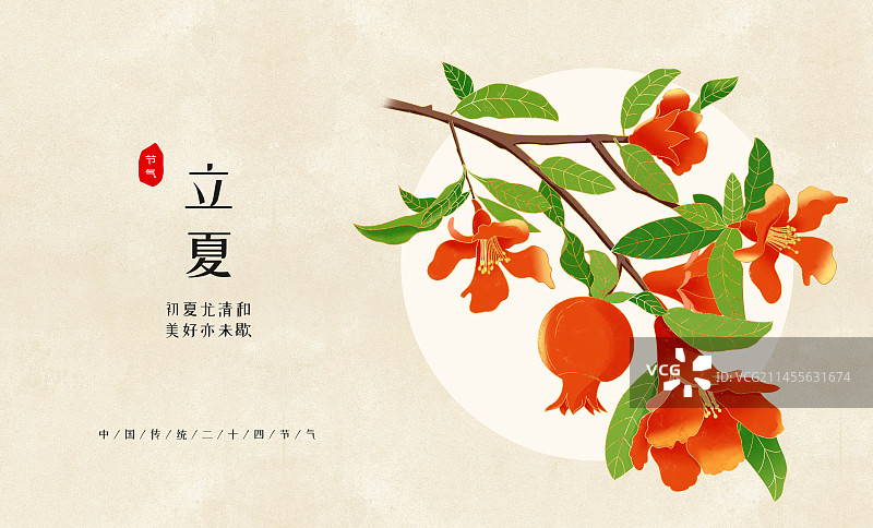 国风节气立夏石榴花插画海报图片素材