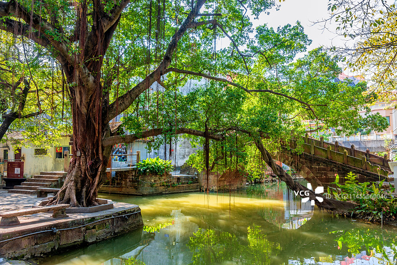 中国广东佛山顺德逢简水乡金鳌桥图片素材