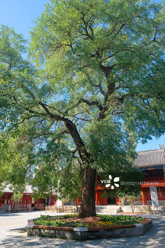 全国文保，北京市西城区长椿寺（宣南会馆）图片素材