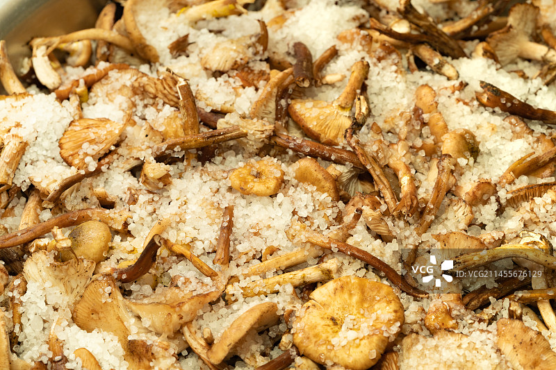 中国东北特色小菜-盐渍蘑菇图片素材