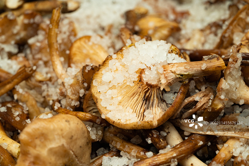 中国东北特色小菜-盐渍蘑菇图片素材