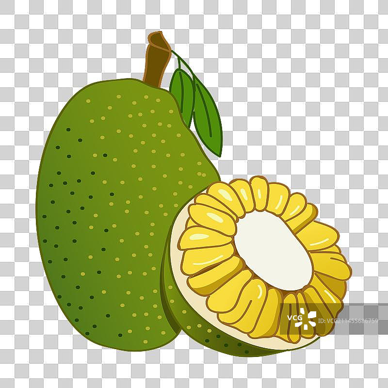 菠萝蜜图片素材