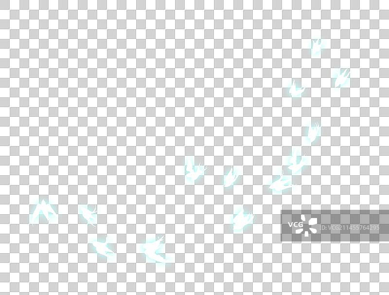 发光的鸽子飞鸟剪影图片素材