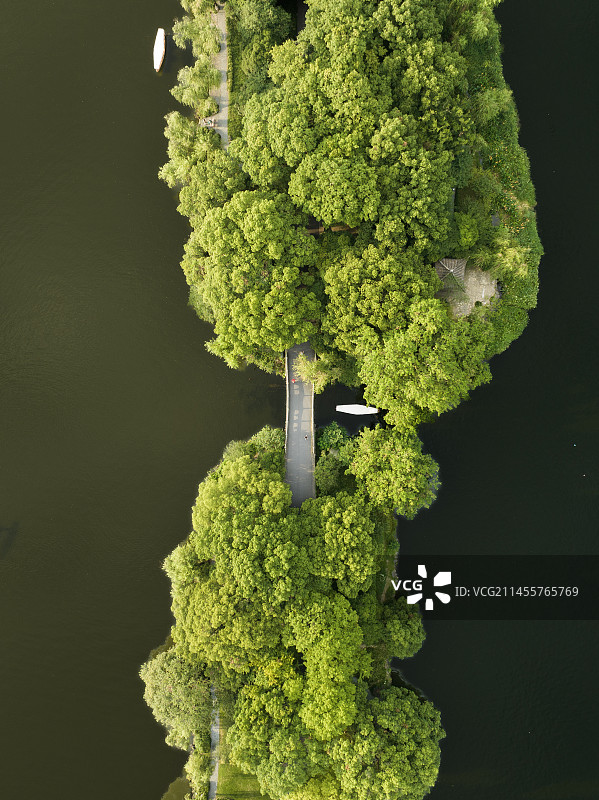 苏堤春晓图片素材