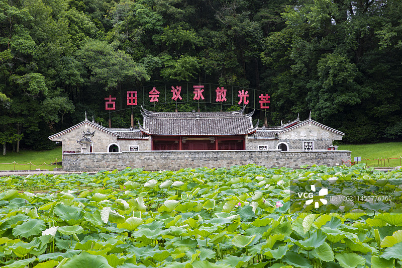 龙岩市,荷花盛开的古田会议议址图片素材