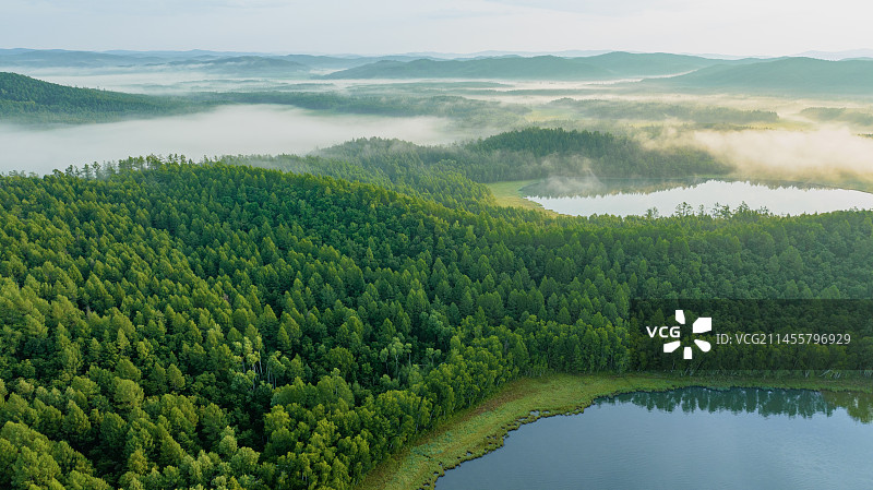 航拍内蒙古大兴安岭达尔滨湖国家森林公园美景图片素材