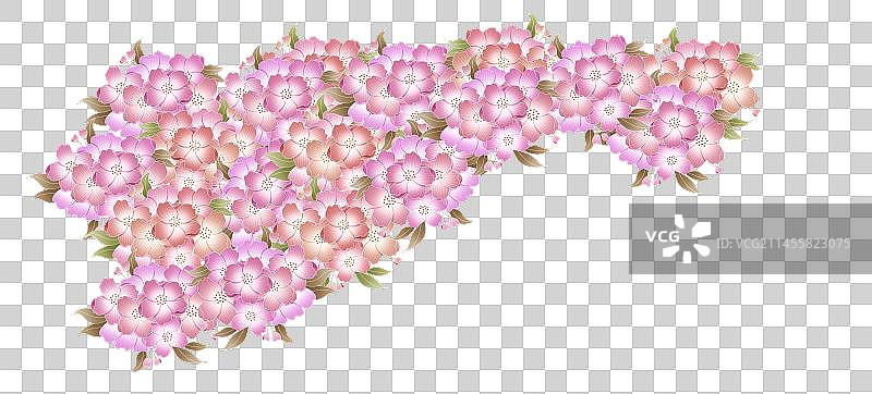 海棠花图片素材