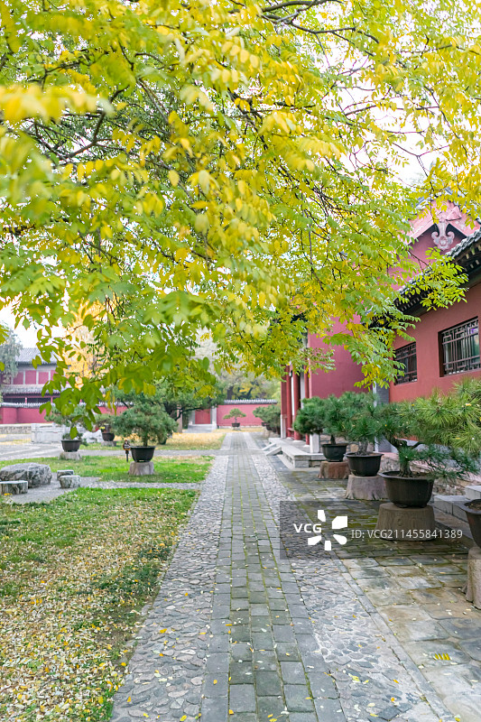 中国山东省泰安市泰山区泰山旅游景区著名景点，古代建筑行宫岱庙里的中式庭院露台花园，户外无人图像摄影图片素材